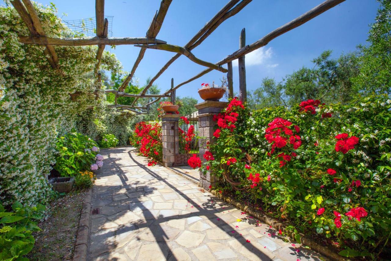 Montebosco Luxury Country House Piano di Sorrento Buitenkant foto